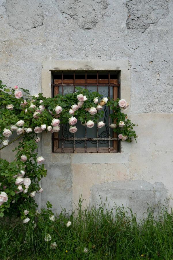 Fiori&Vigne Di Cecilia Marcon Villa Farra di Soligo Ngoại thất bức ảnh