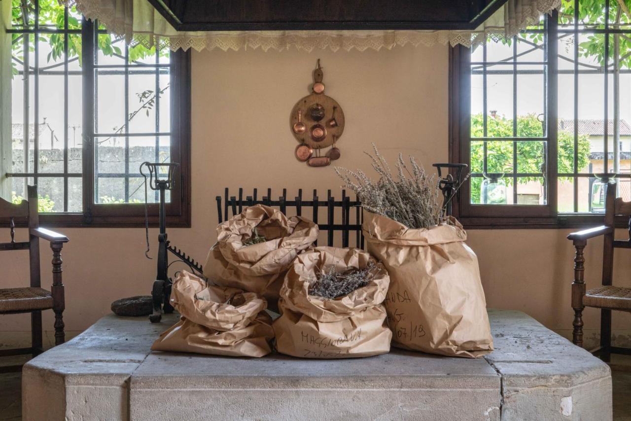 Fiori&Vigne Di Cecilia Marcon Villa Farra di Soligo Ngoại thất bức ảnh