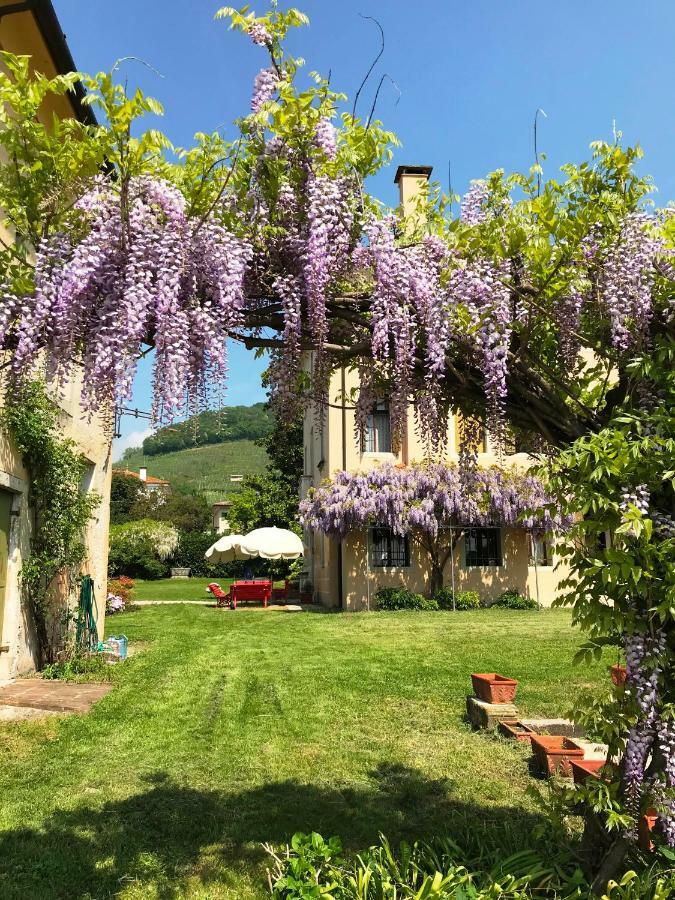 Fiori&Vigne Di Cecilia Marcon Villa Farra di Soligo Ngoại thất bức ảnh