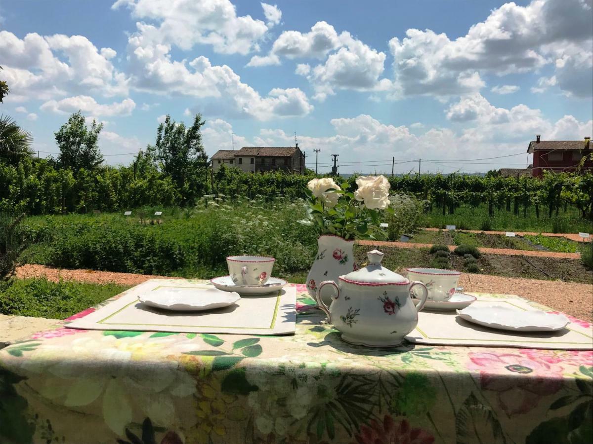 Fiori&Vigne Di Cecilia Marcon Villa Farra di Soligo Ngoại thất bức ảnh